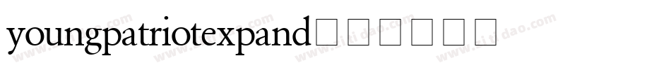 youngpatriotexpand字体转换
