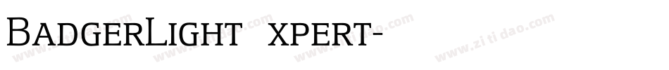 BadgerLightExpert字体转换