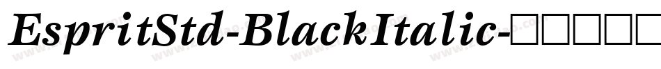 EspritStd-BlackItalic字体转换