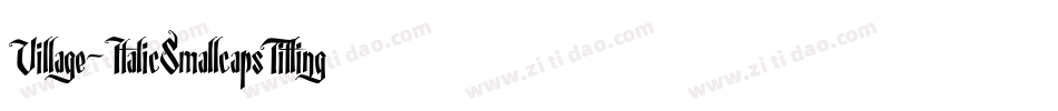 Village-ItalicSmallcapsTitling字体转换