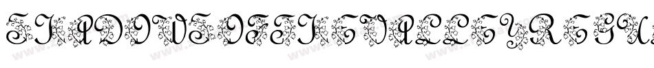 ShadowsOfTheValleyRegularFonty-zLpD字体转换