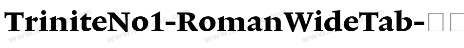 TriniteNo1-RomanWideTab字体转换