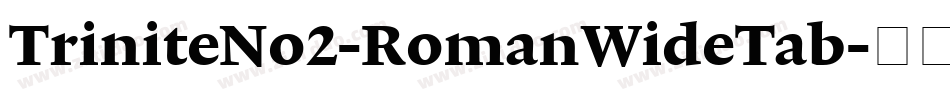 TriniteNo2-RomanWideTab字体转换