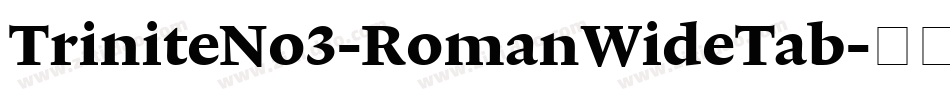 TriniteNo3-RomanWideTab字体转换