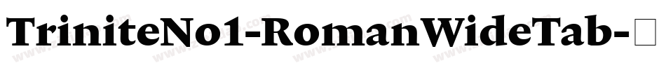 TriniteNo1-RomanWideTab字体转换