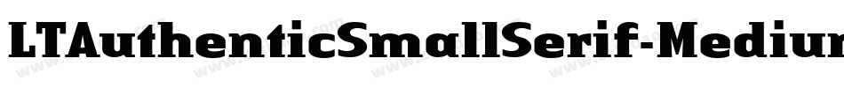 LTAuthenticSmallSerif-MediumIt字体转换