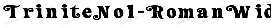 TriniteNo1-RomanWide字体转换