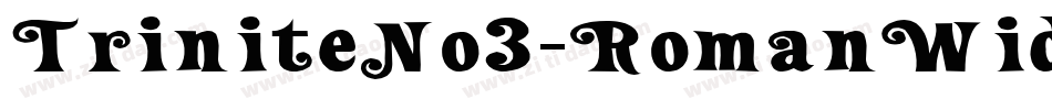 TriniteNo3-RomanWide字体转换