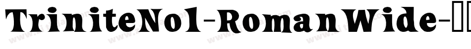 TriniteNo1-RomanWide字体转换