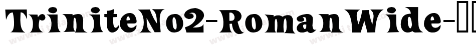 TriniteNo2-RomanWide字体转换