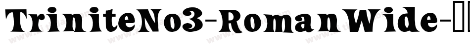 TriniteNo3-RomanWide字体转换