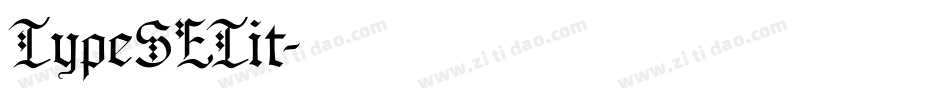 TypeSETit字体转换
