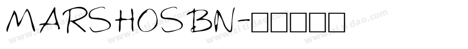 MARSHOSBN字体转换