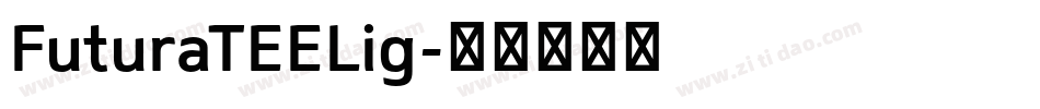 FuturaTEELig字体转换