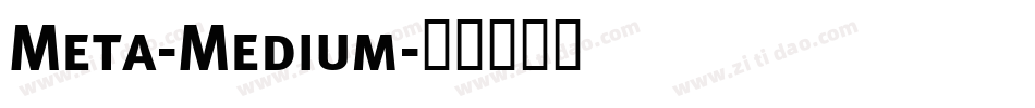 Meta-Medium字体转换