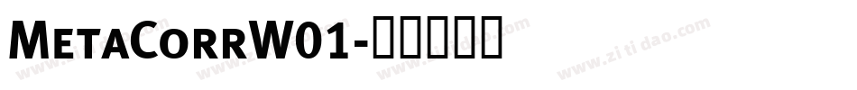 MetaCorrW01字体转换