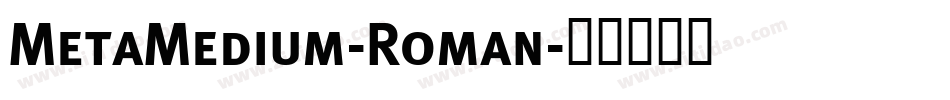 MetaMedium-Roman字体转换