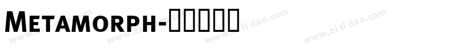 Metamorph字体转换