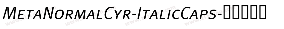 MetaNormalCyr-ItalicCaps字体转换