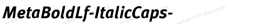 MetaBoldLf-ItalicCaps字体转换