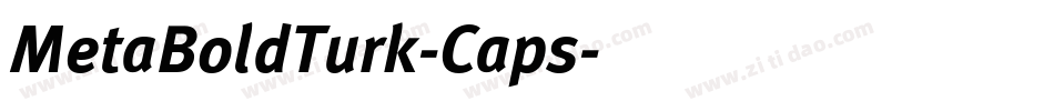 MetaBoldTurk-Caps字体转换