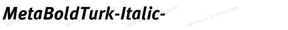 MetaBoldTurk-Italic字体转换