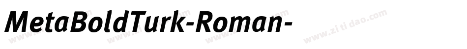 MetaBoldTurk-Roman字体转换