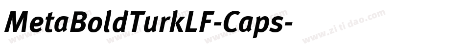 MetaBoldTurkLF-Caps字体转换