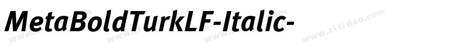 MetaBoldTurkLF-Italic字体转换
