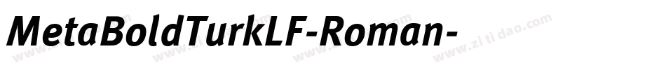 MetaBoldTurkLF-Roman字体转换