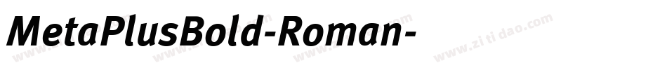 MetaPlusBold-Roman字体转换