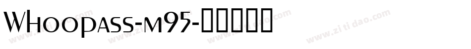 Whoopass-m95字体转换