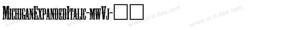 MichiganExpandedItalic-mwVj字体转换