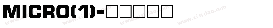 Micro(1)字体转换