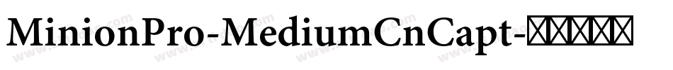 MinionPro-MediumCnCapt字体转换