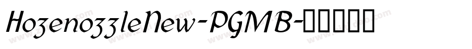 HozenozzleNew-PGMB字体转换
