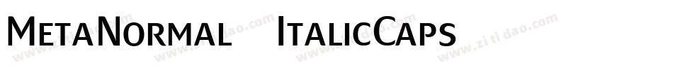 MetaNormal-ItalicCaps字体转换