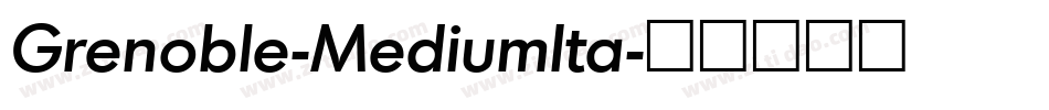 Grenoble-MediumIta字体转换 Grenoble-MediumIta字体转换