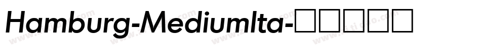 Hamburg-MediumIta字体转换