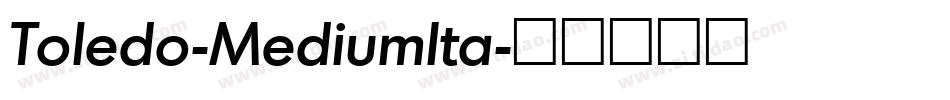 Toledo-MediumIta字体转换