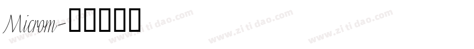 Microm字体转换