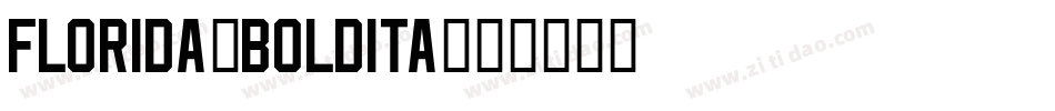 Florida-BoldIta字体转换