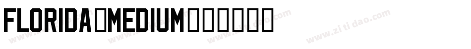 Florida-Medium字体转换