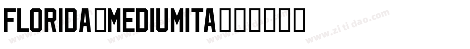 Florida-MediumIta字体转换