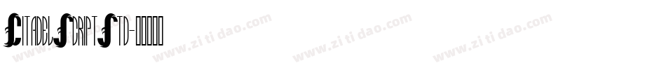 CitadelScriptStd字体转换