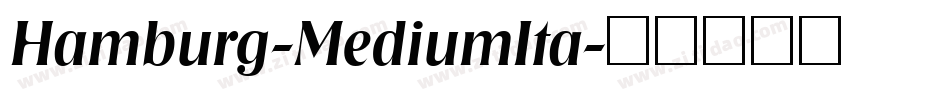 Hamburg-MediumIta字体转换