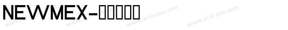 NEWMEX字体转换