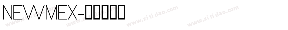 NEWMEX字体转换