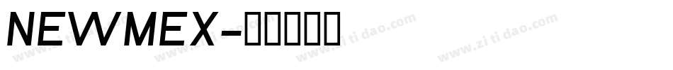 NEWMEX字体转换