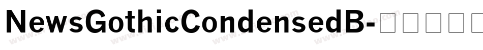 NewsGothicCondensedB字体转换